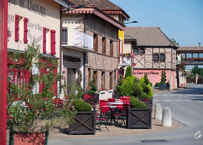 Les Saules Parc & - Teritoria Hotel Vonnas