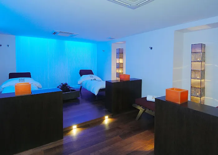 Les Saules Parc & - Teritoria Hotel Vonnas