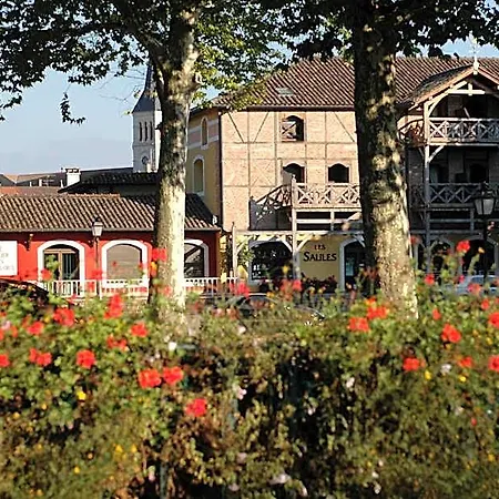 Les Saules Parc & - Teritoria 3* Vonnas